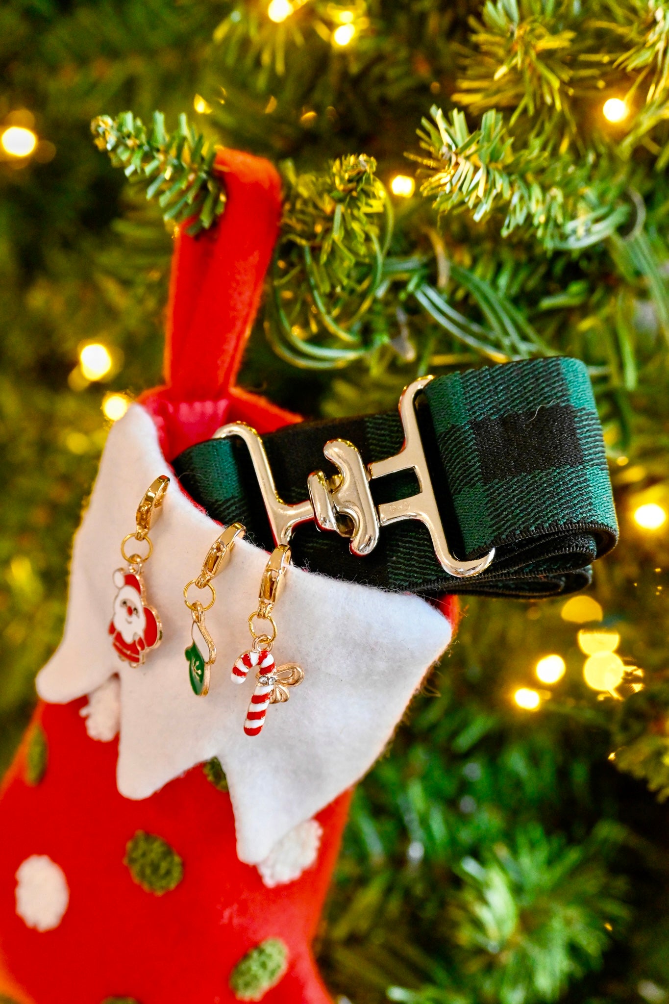 Holiday Stocking Set